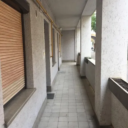Apartment Mate Gold *